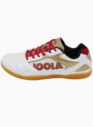 Non-Slip Tennis & Badminton Shoes